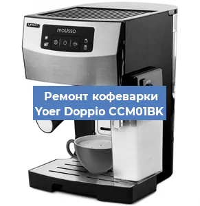 Замена прокладок на кофемашине Yoer Doppio CCM01BK в Красноярске